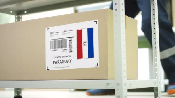 Box med produkter från Paraguay och lagring anställd — Stockvideo