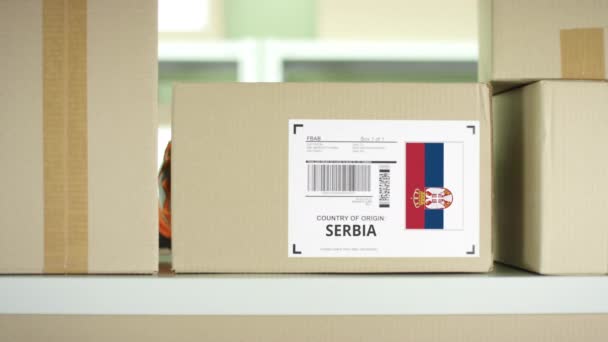装有塞尔维亚产品的硬纸板包裹 — 图库视频影像