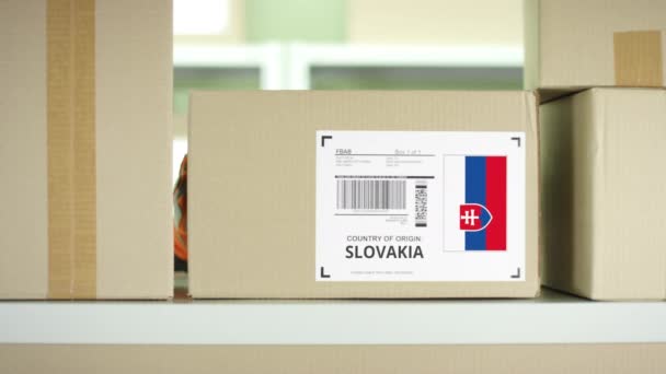 Ένα κουτί από τη Σλοβακία στο ράφι — Αρχείο Βίντεο