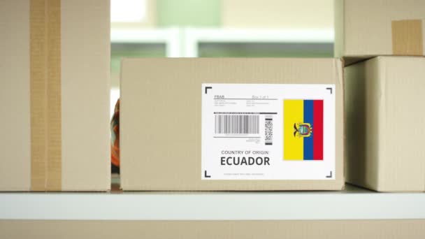 Pakket uit Ecuador in een postkantoor — Stockvideo