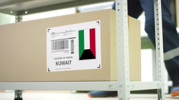Travailleur enlève un carton avec des marchandises du Koweït sur l'étagère — Video