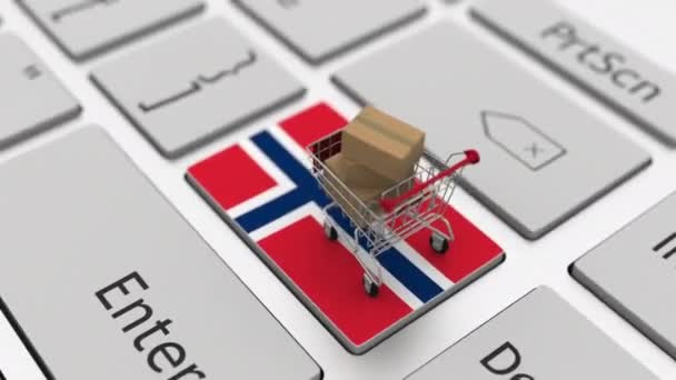 Πληκτρολόγιο κλειδί με σημαία της Νορβηγίας και καλάθι αγορών με κουτιά. Online αγορές που σχετίζονται με looping 3d animation — Αρχείο Βίντεο