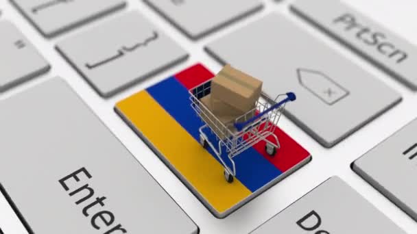Chiave con bandiera dell'Armenia e carrello della spesa con scatole, animazione 3d relativa ad internet loop — Video Stock