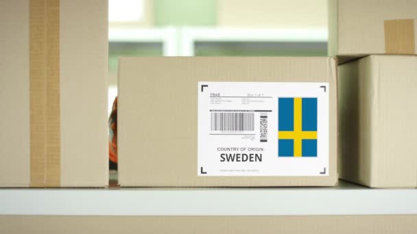 Ένα κουτί από τη Σουηδία στο ράφι — Αρχείο Βίντεο
