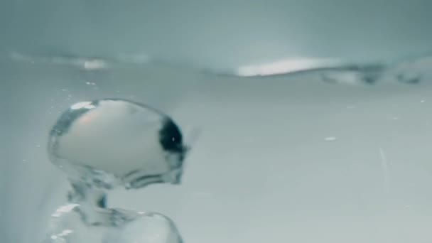 Boiling dry ice or frozen carbon dioxide in water, slow motion shot — Stock Video