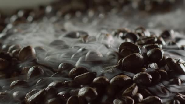 Nyrostade kaffebönor, slow motion shot — Stockvideo