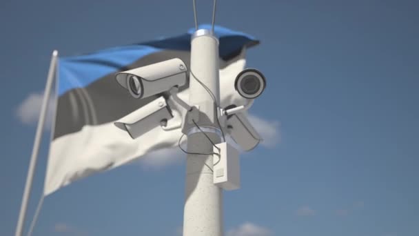 Security cameras on the pole near flag of Estonia, looping 3d animation — Vídeo de Stock