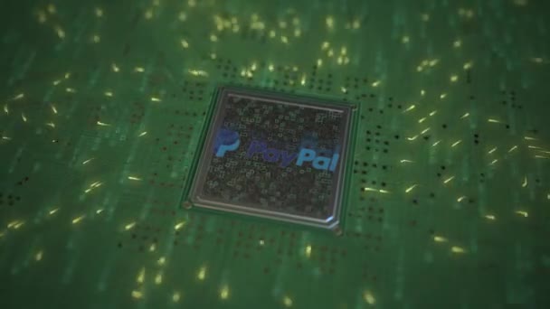 Logo PAYPAL sul chip sulla scheda del computer. Concettuale editoriale animazione 3d — Video Stock