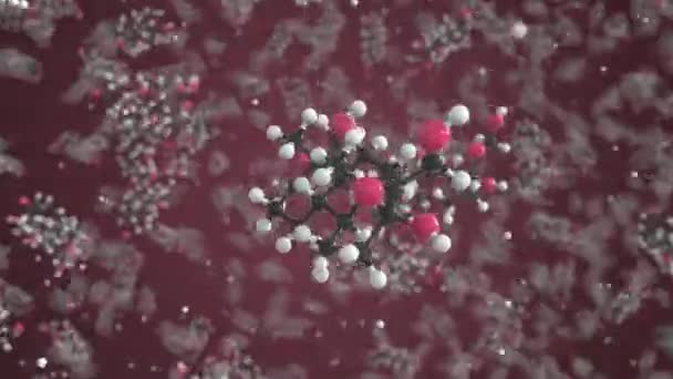 ヒドロコルチゾン分子。分子モデル。シームレス3Dアニメーションのループ — ストック動画