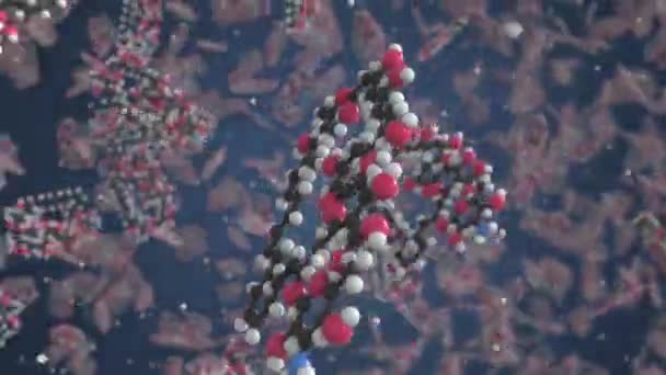 Amfotericine molecuul. Moleculair model. Looping naadloze 3D-animatie — Stockvideo