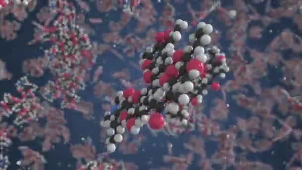 Erythromycin molecule. Molecular model. Looping seamless 3d animation — Stock Video