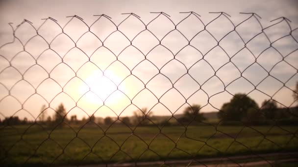 Zomer zonsondergang landschap achter oude draad hek — Stockvideo