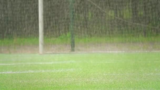 夏雨中草地足球场的慢镜头 — 图库视频影像