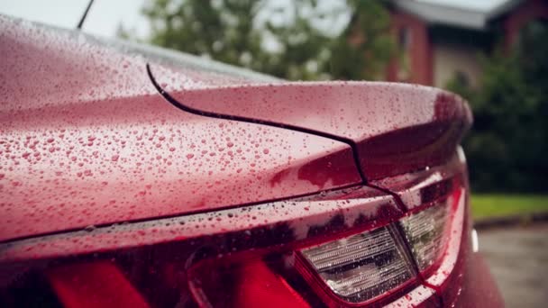 Chuva cai na luz da cauda de um carro moderno em um dia chuvoso — Vídeo de Stock