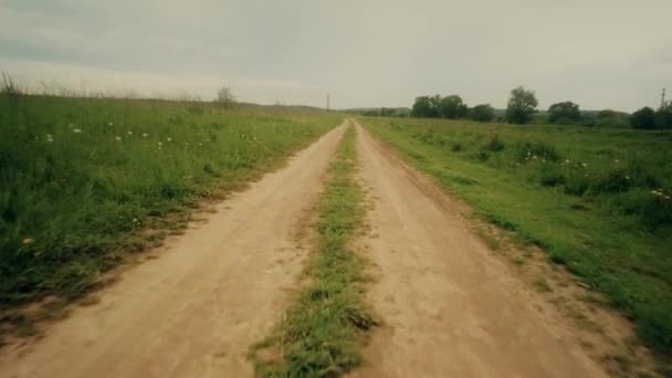 POV disparó, moviéndose a lo largo del camino de campo rural en verano — Vídeo de stock