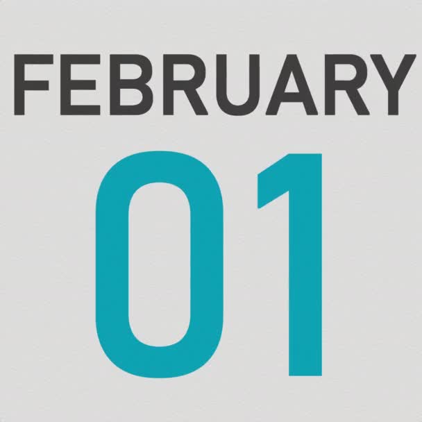 2月2日日期后皱折纸页日历，3D动画 — 图库视频影像