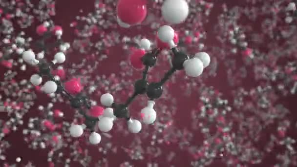 Molecule of angelic acid, conceptual molecular model. Conceptual looping 3d animation — Stock video