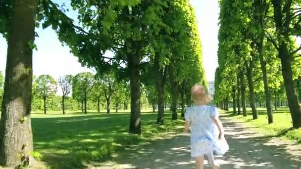 Slow motion shot of a blonde little girl wearing blue dress runs along the beautiful summer park alley — Stock Video