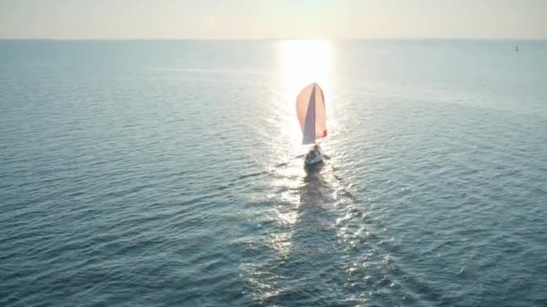 Letecký pohled na neznámý plachetnici s růžovou plachtou pohybující se na moři ve večerních hodinách — Stock video