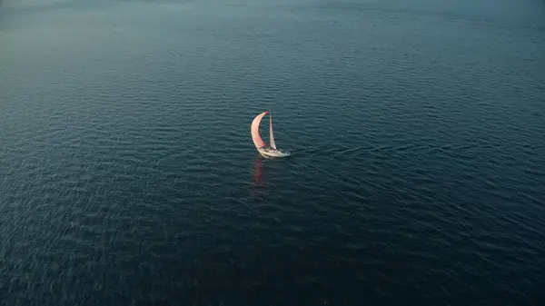 Luftaufnahme einer beweglichen Segeljacht mit rosa Segel auf dem Meer — Stockfoto