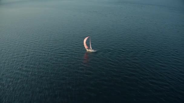 분홍색 범선을 타고 바다를 항해하는 범선을 공중에서 찍은 사진 — 비디오