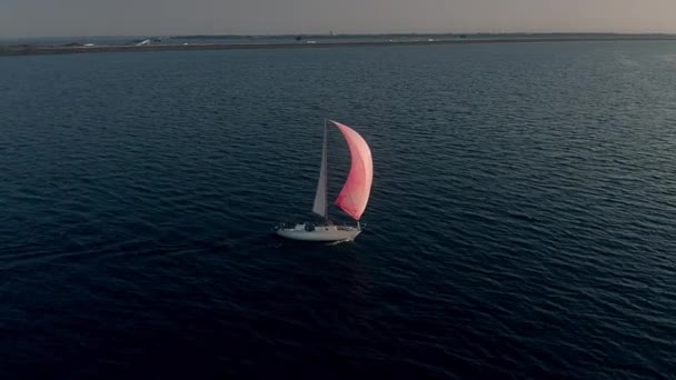 Denizde pembe yelkenli yelkenli bir yatın yörüngesindeki hava manzarası. — Stok video