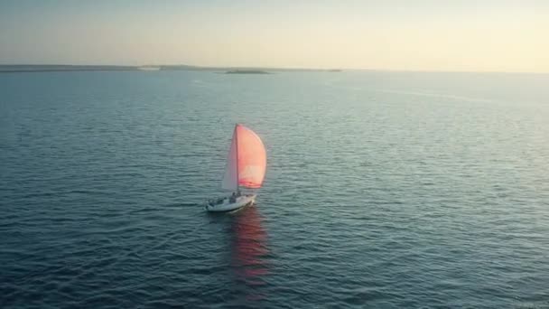 一艘漂亮的带粉色帆的活动帆船在海上的空中轨道拍摄 — 图库视频影像