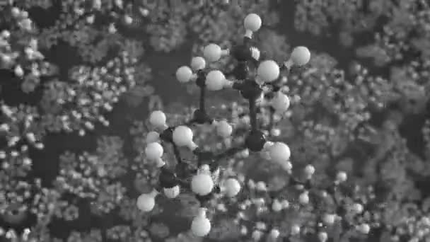 Molécula de ciclododecano, modelo molecular científico, looping animação 3d — Vídeo de Stock