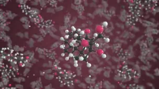 Dihydrokortisonmolekyl gjord med bollar, konceptuell molekylär modell. Kemisk looping 3D-animering — Stockvideo