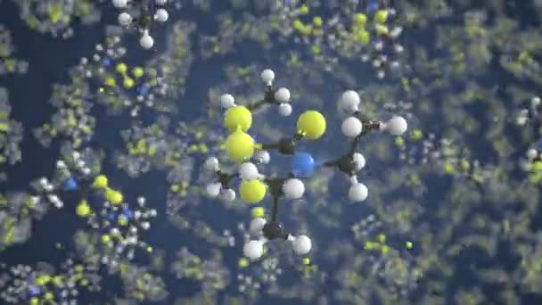 Molécula de disulfiram, modelo molecular conceptual. Dibujo científico 3d animación — Vídeo de stock