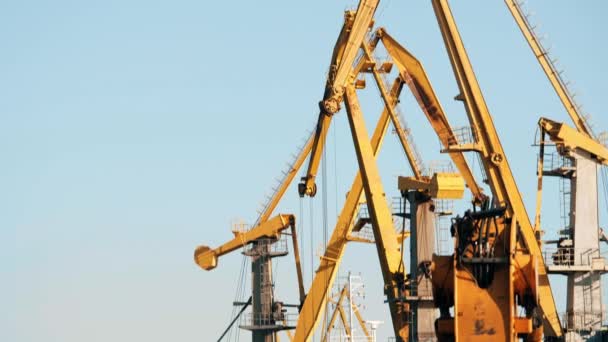 VYBORG, RUSSIE - 10 juillet 2021. Grues et piles de charbon dans le port de Vyborg — Video