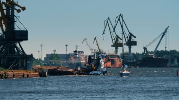 WYBORG, RUSSLAND - 10. Juli 2021. Viele Kräne und Schiffe im Hafen von Wyborg — Stockvideo