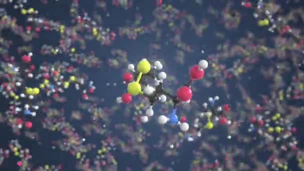 Homocystinová molekula, koncepční molekulární model. Chemická smyčka 3D animace — Stock video