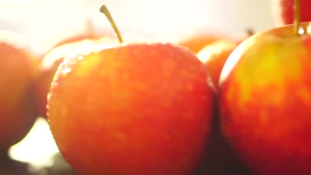 Röda äpplen roterar hela videon — Stockvideo