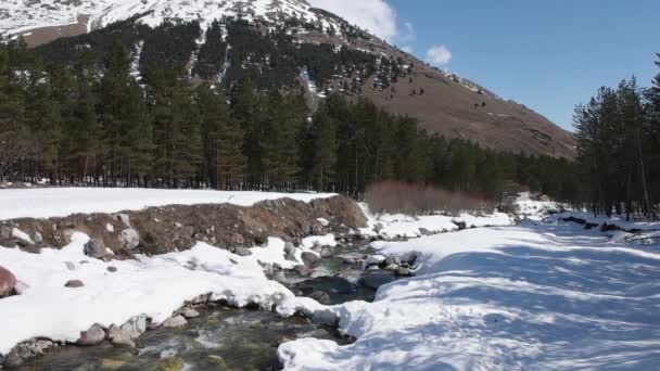 Rio perto da montanha Elbrus — Vídeo de Stock