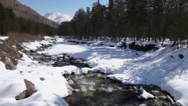 Winterfluss im Wald — Stockvideo