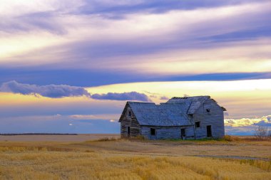 Alberta Kanada kırsalında terk edilmiş bir çiftlik evi bulutlu gökyüzü