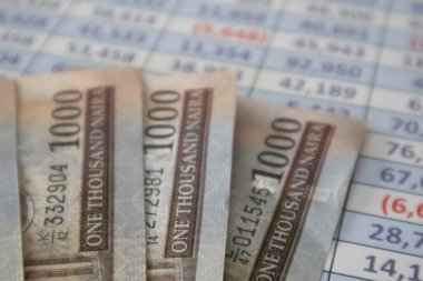 Nijeryalı Naira bir Hesap Çizelgesi raporuna notlar yazıyor