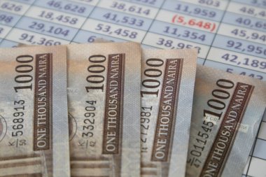 Nijeryalı Naira bir Hesap Çizelgesi raporuna notlar yazıyor