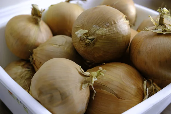 Schüssel mit weißen Zwiebeln in der Küche zum Kochen — Stockfoto