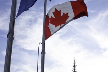 Kanada Bayrağı ve Alberta İl Bayrağı Yarım Direk