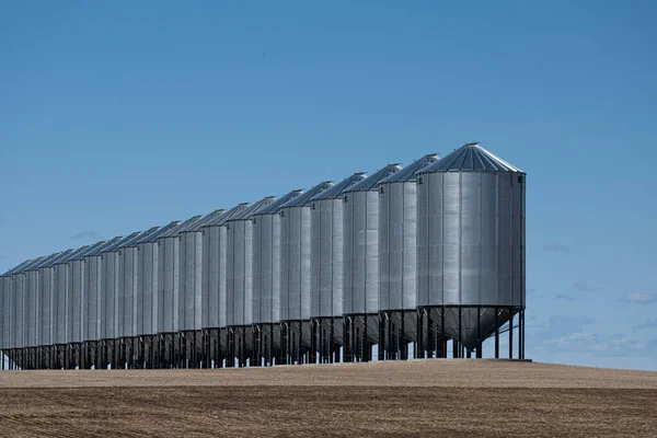 Silo di cereali per l'immagazzinamento del raccolto in un'azienda agricola — Foto Stock