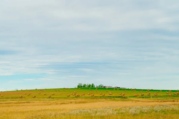 Balar av hö framför en bondgård i Alberta — Stockfoto