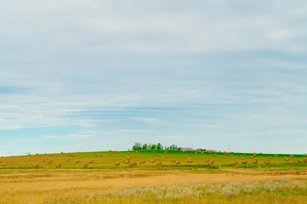 Bales de heno frente a una casa de campo en Alberta —  Fotos de Stock