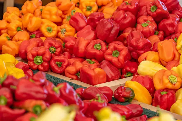 fresh organic Bell Peppers on display at a farmers market