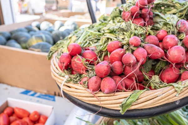 Čerstvé organické ředkvičky vystavené na farmářském trhu — Stock fotografie
