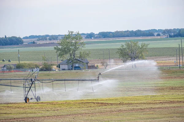 用喷水灌溉的农场 — 图库照片