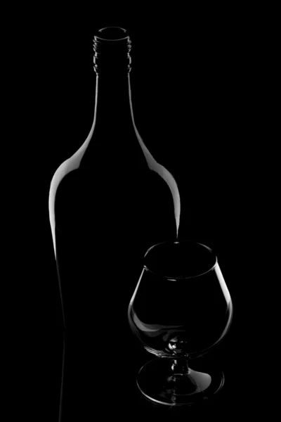 Vidrio y botella — Foto de Stock