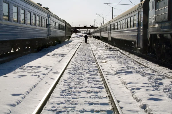 Treno — Foto Stock