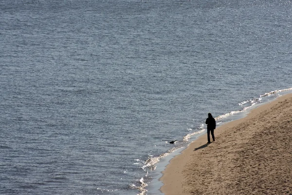 Coast — Stock Photo, Image